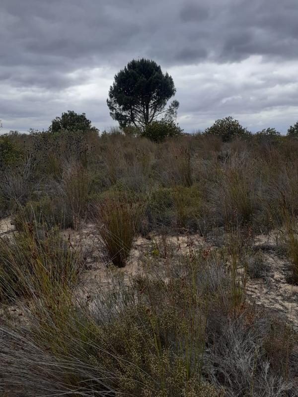 1 Bedroom Property for Sale in Riversdale Western Cape